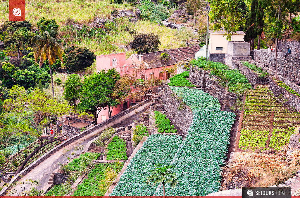 Ferme à Sao Antao