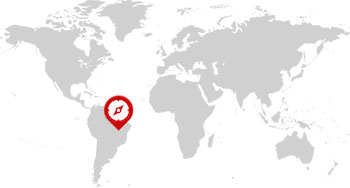 Carte Brésil