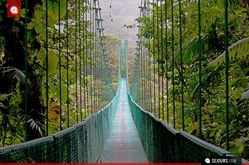 Pont Suspendu dans la forêt de Monteverde