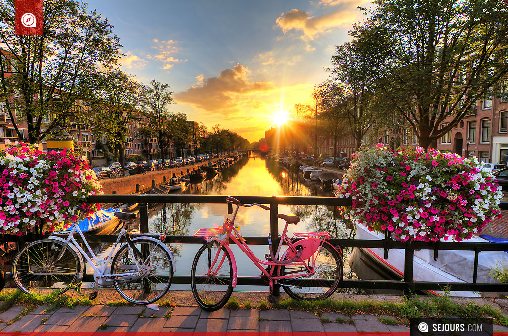 Fleurs et vélos sur un pont à Amsterdam au Pays-Bas - Hollande