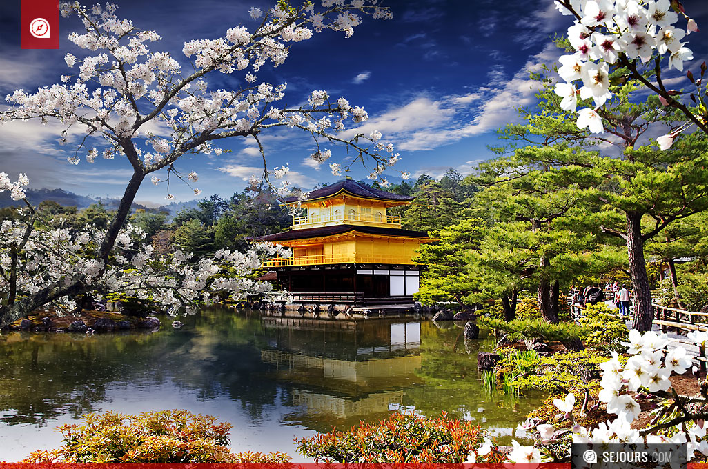 Belle sakura avec joli temple d'or - Japon