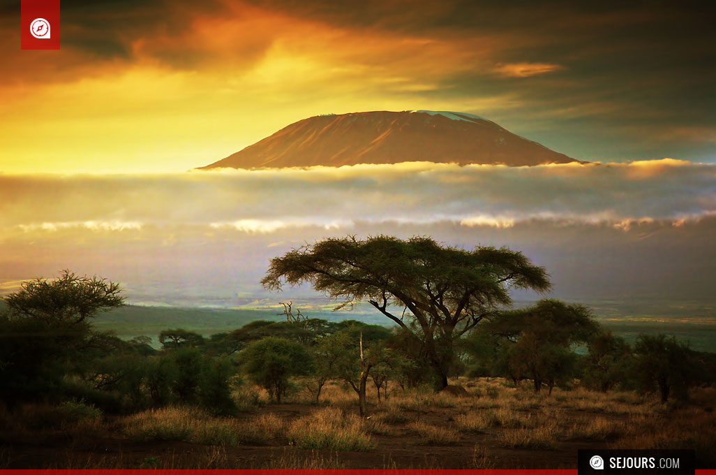 Kilimandjaro dans les nuages vu de la savane à Amboseli - Kenya