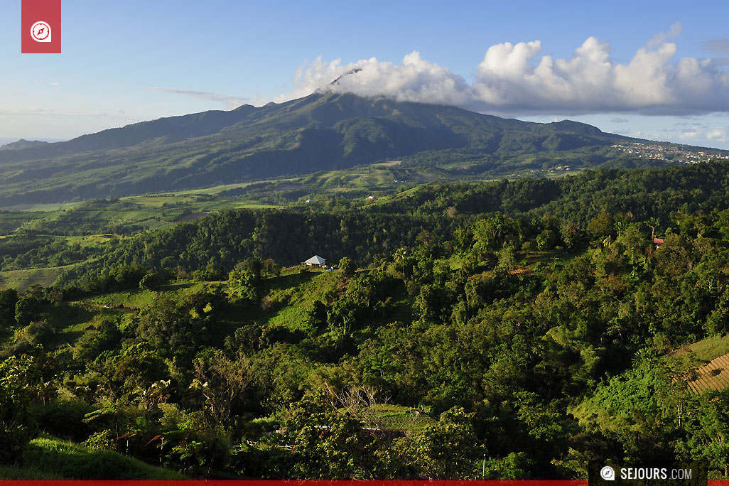 Le volcan actif du Mont Pelée, célèbre pour son éruption en 1902 - Martinique